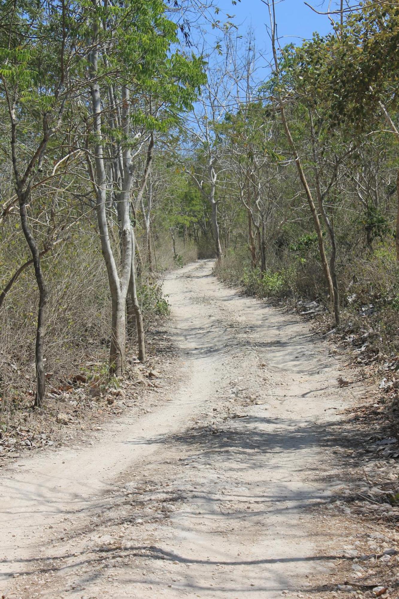 Jeeva Beloam Beach Camp Tanjung Ringgit Экстерьер фото